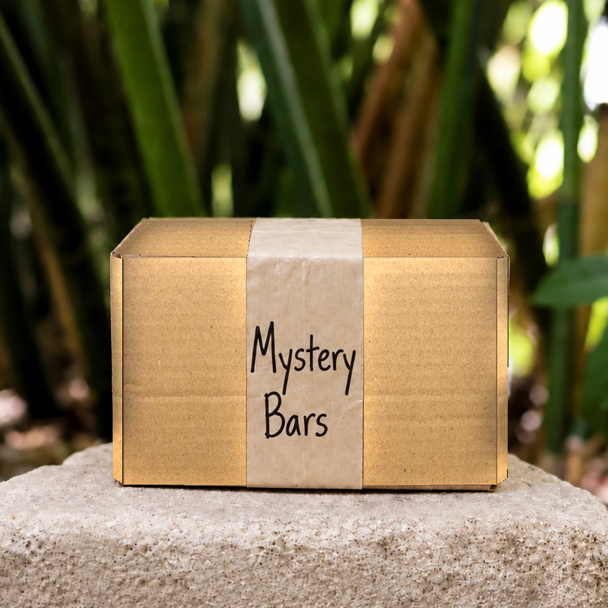 Shampoo-Replacement Bar Mystery Box