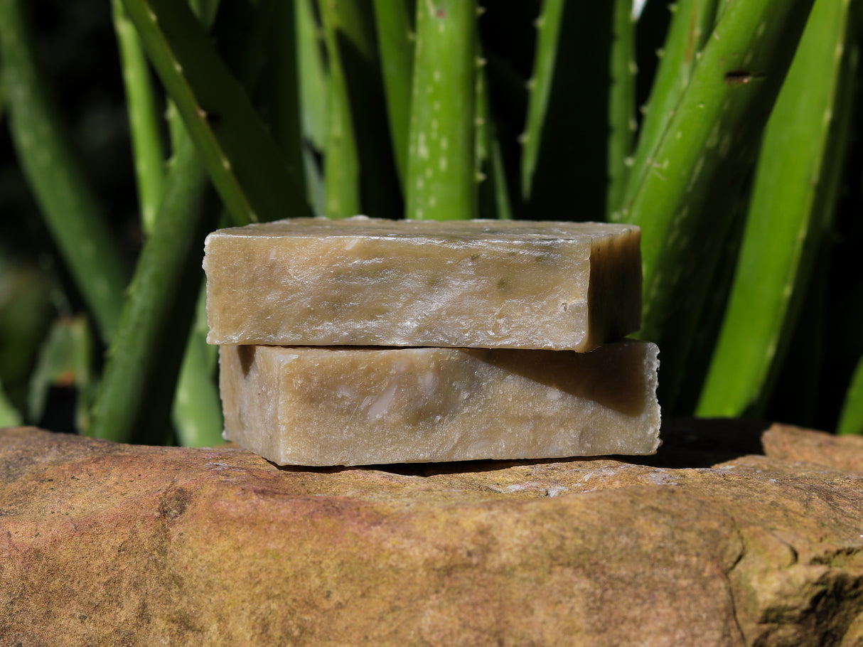 Nature's Medicine Shampoo-Replacement Bar