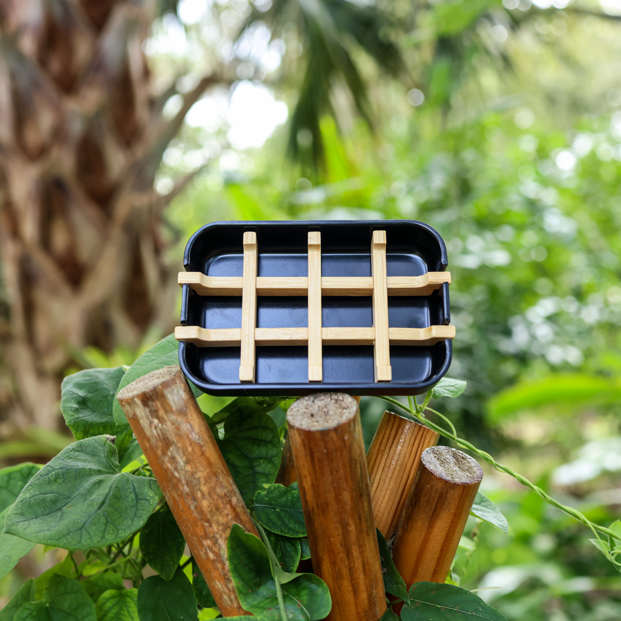 Bamboo Soap Coaster