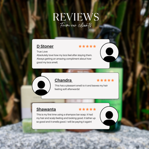 Odor Buster Kit