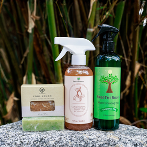 Odor Buster Kit