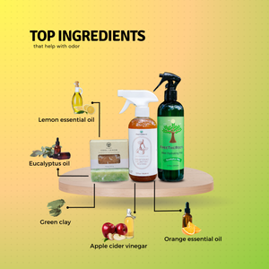 Odor Buster Kit